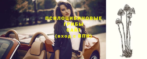 не бодяженный Богданович