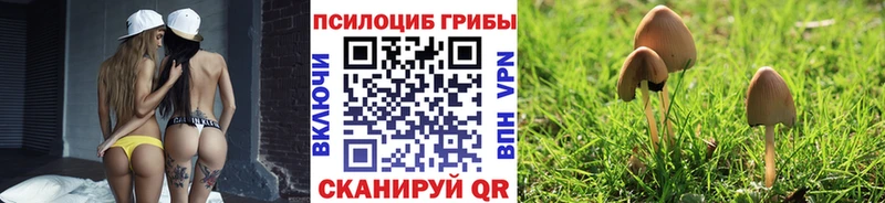 Псилоцибиновые грибы мицелий Кимовск